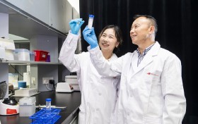 重磅研究——港城大团队发现“脸红基因”诱发心肌细胞铁死亡的新通路